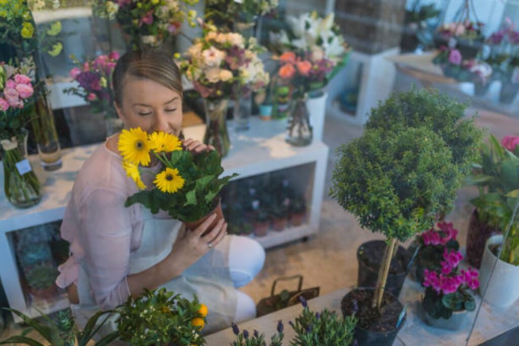 Flower Delivery Neutral Bay