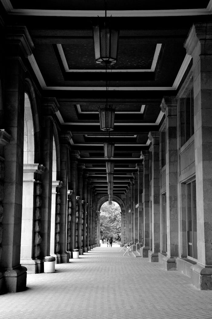 pexels-photo-32985112.jpeg