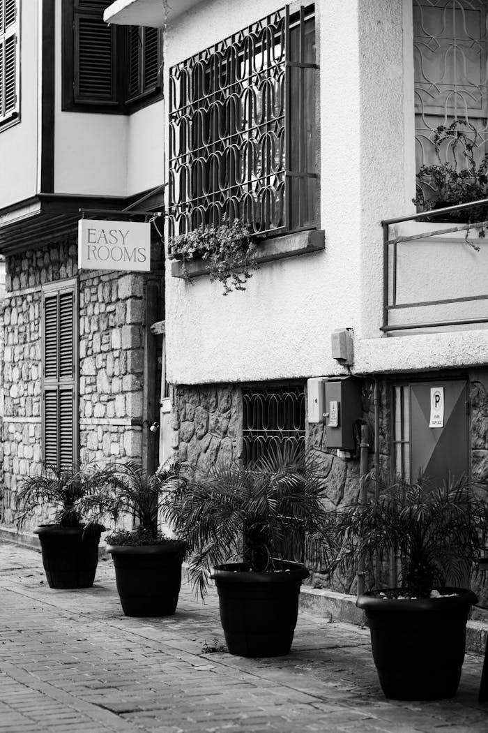 A black and white photo of a street with potted plants and an 'Easy Rooms' sign.