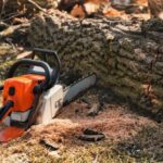stump grinding cost