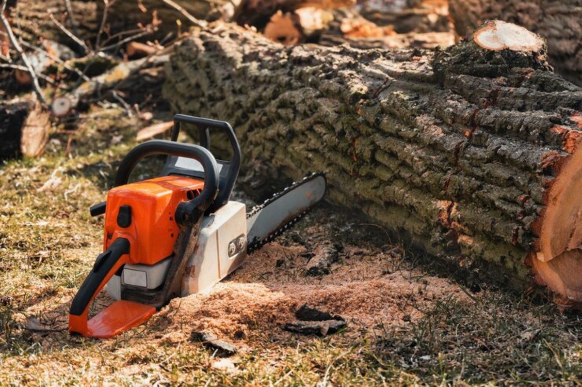 stump grinding cost
