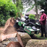 stump grinding services