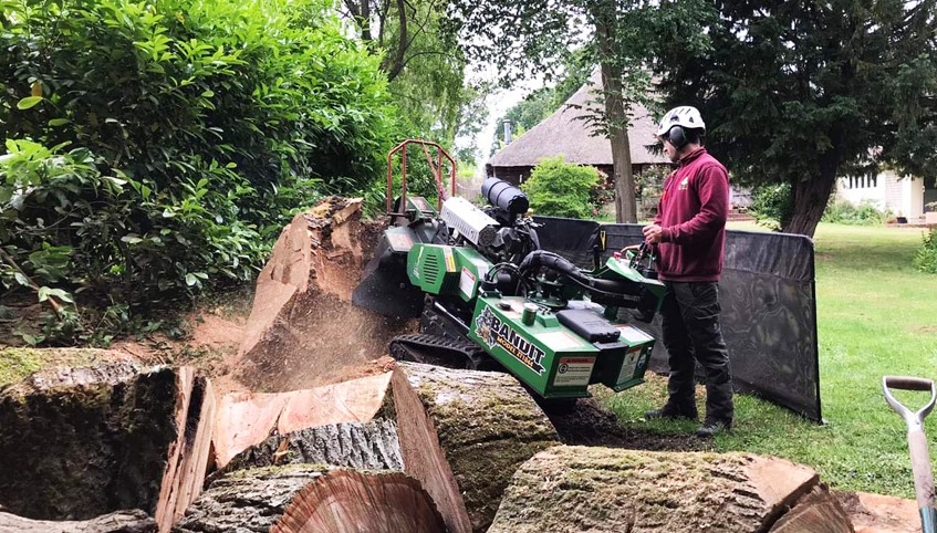stump grinding services