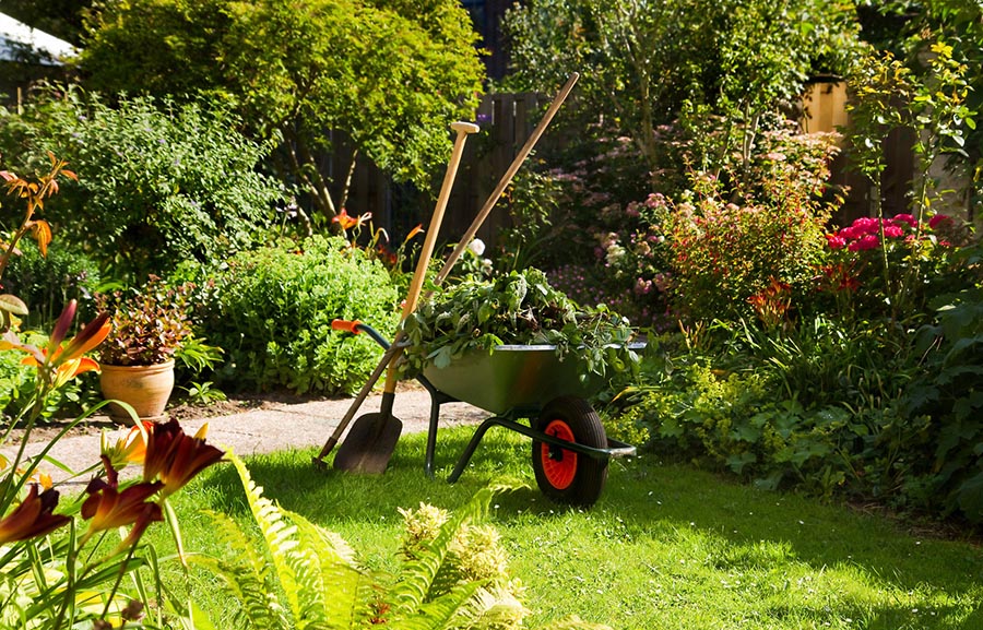 Garden Waste Removal