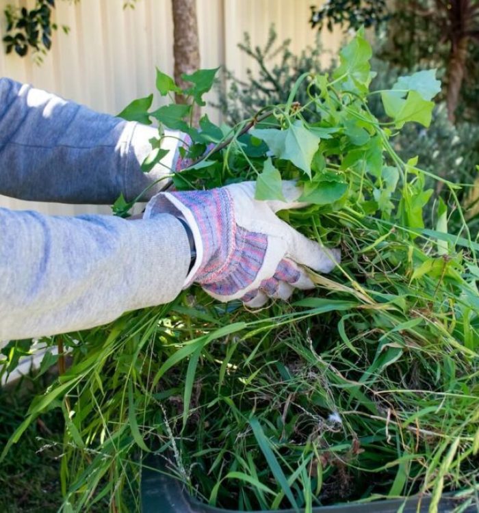 Garden Waste Removal